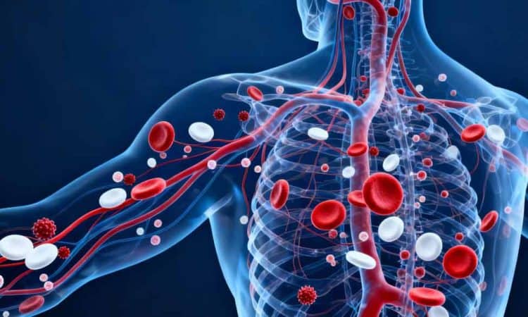 Fakta yang Jarang Diketahui tentang Sistem Darah